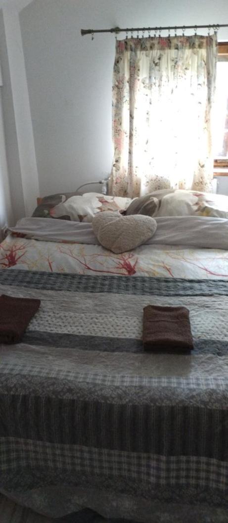 Apartament Pod Zamkiem Olsztyn  Exteriör bild